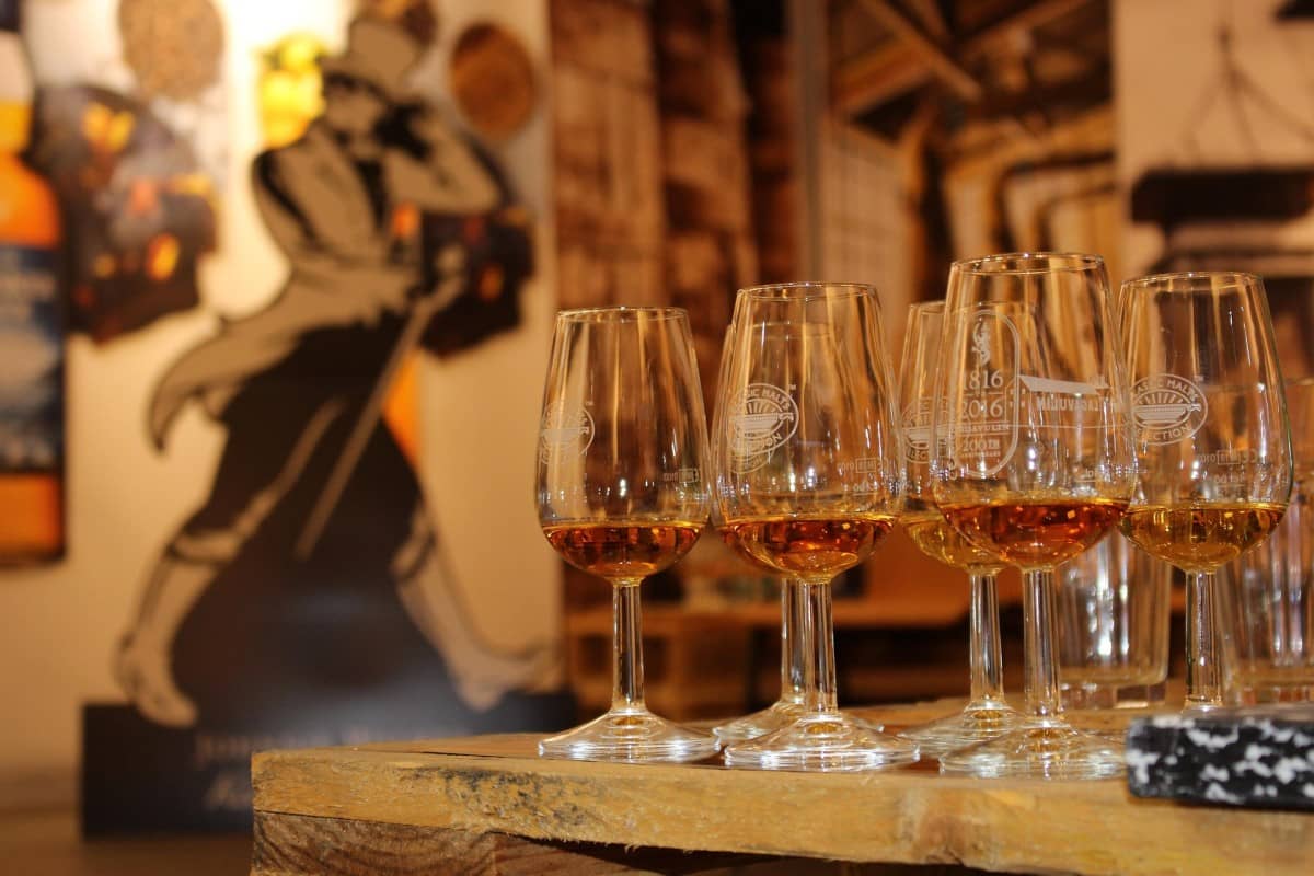 whisky tastings in the johnny walker distillery with stem glasses